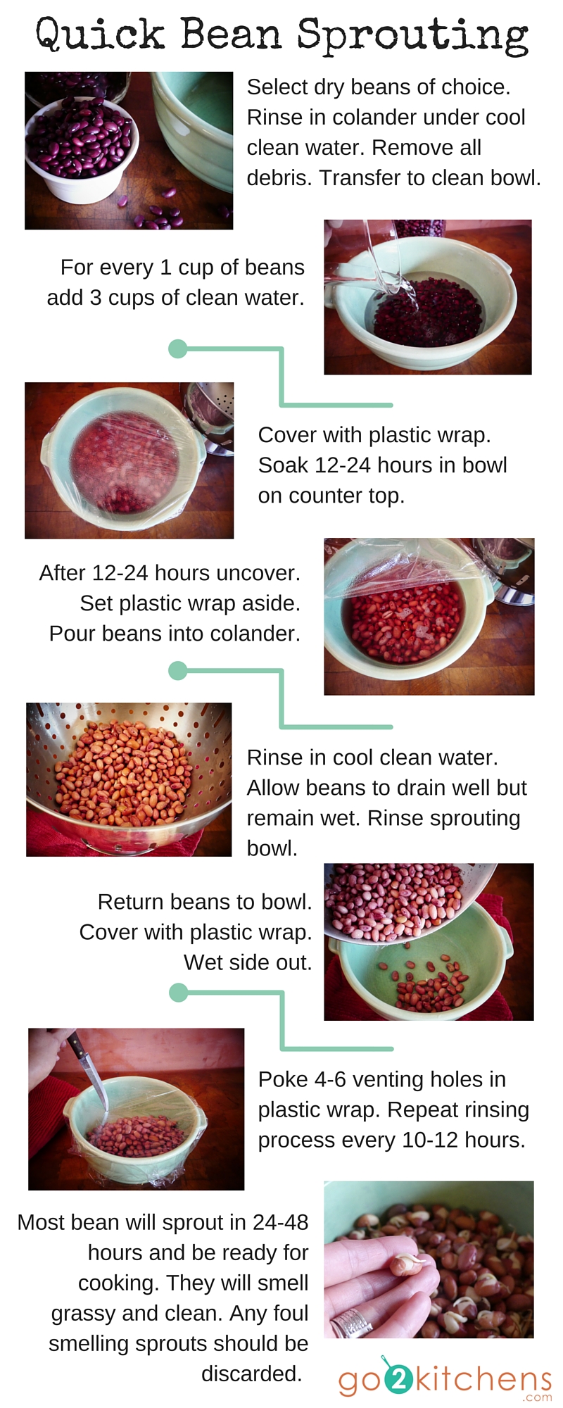 Quick Bean Sprouting-2 infographic