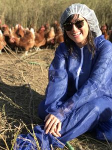 pasture raised eggs