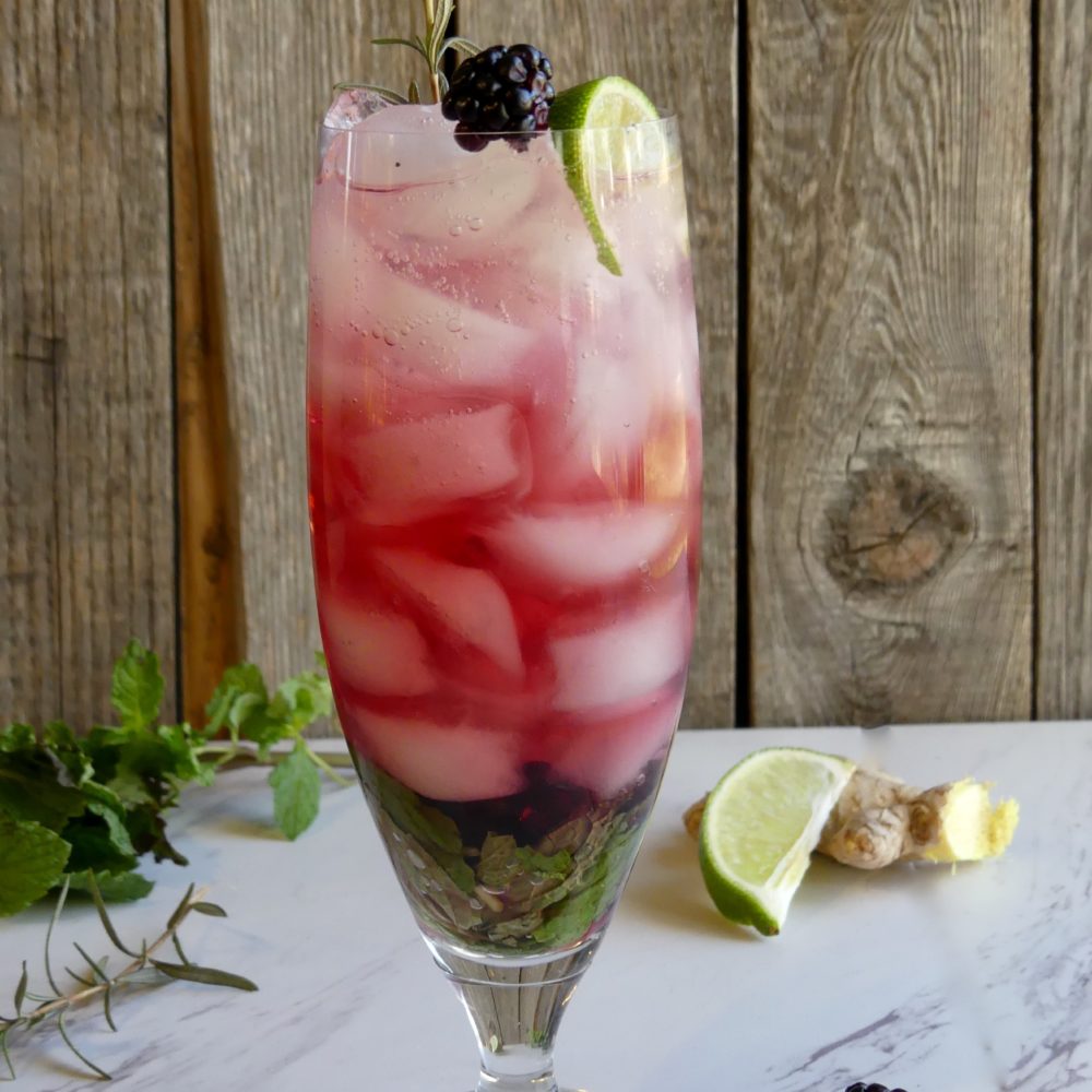 2 Drinking Vinegar Mocktail Recipes go2kitchens